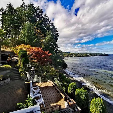 Walkon Waterfront Castle Cove Inn 彻梅纳斯 外观 照片